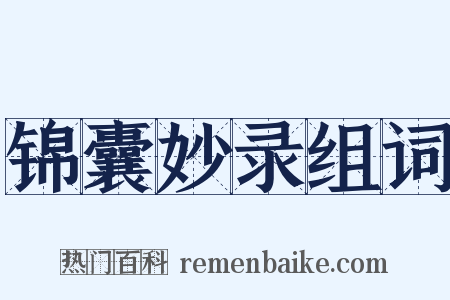 锦囊妙录组词是什么意思的图片